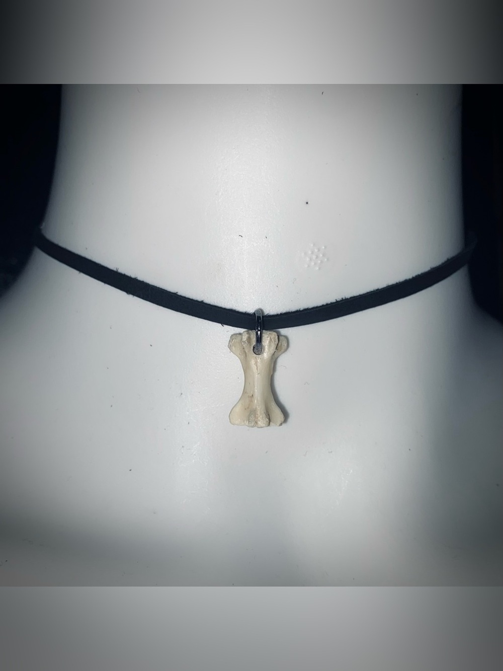 Possum vertebrae bone choker